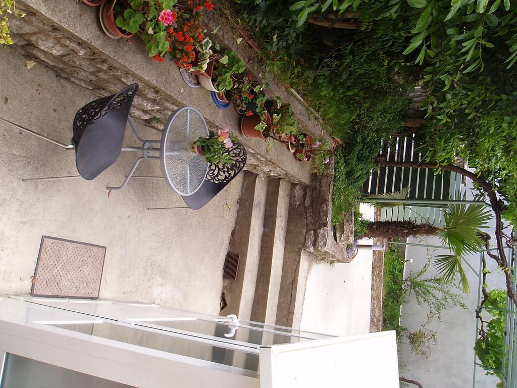 Apartman Arena